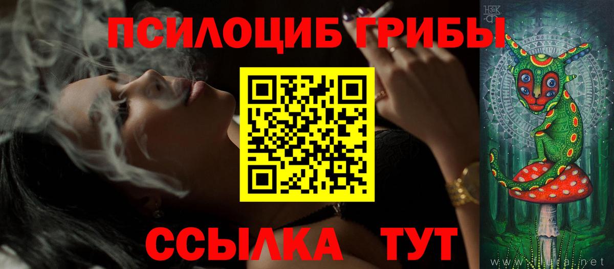 закладка  Псилоцибиновые грибы Magic Shrooms  Вход с VPN  Домодедово 