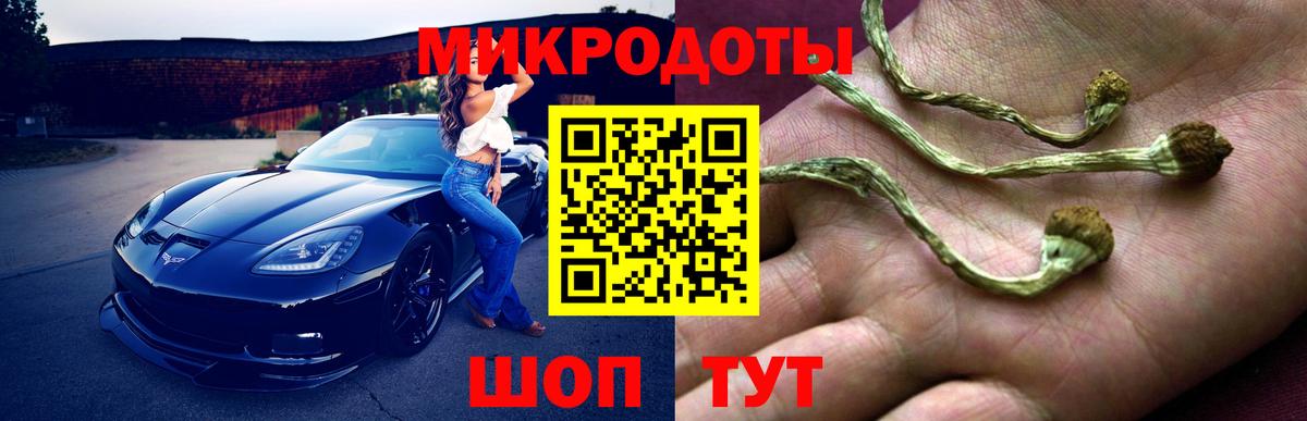 Псилоцибиновые грибы Cubensis Домодедово